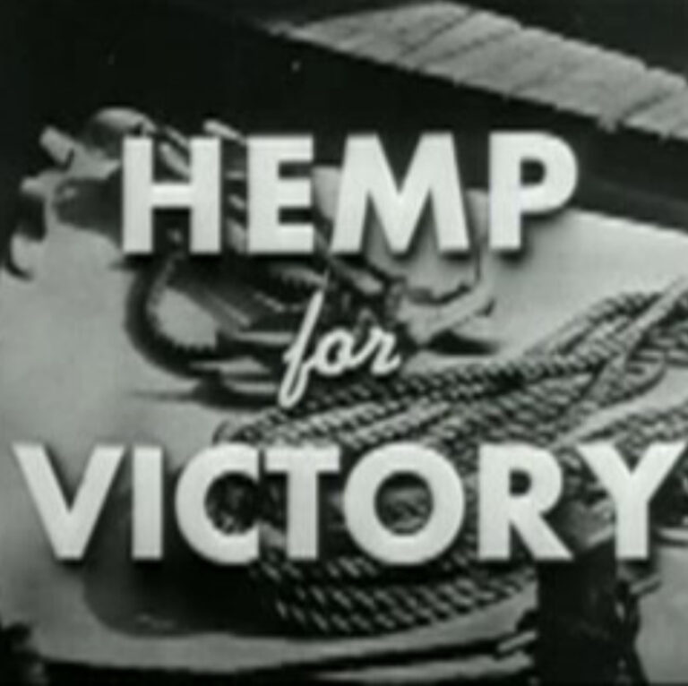 hemp for victory square